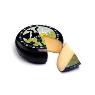 Aurora gold alt, Kuh/past/Schnitt/V, Aurora