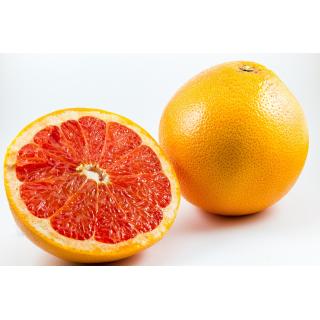 Grapefruit rot