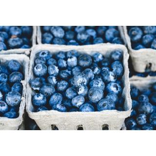 Heidelbeeren