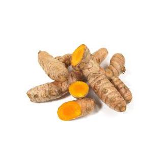 Kurkuma, frisch