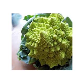 Romanesco