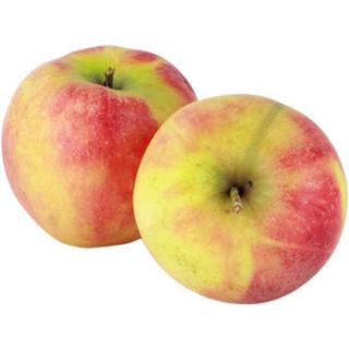 Äpfel Elstar