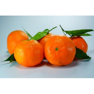 Clementinen