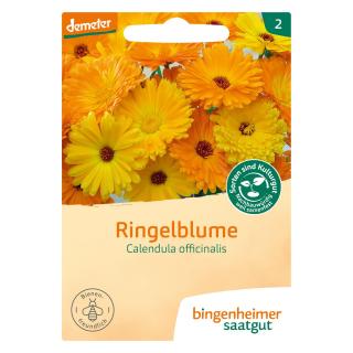 Ringelblume