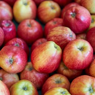 Äpfel Gala